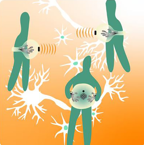 somatic circuit logo