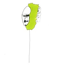43