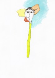 71