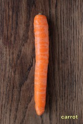 carrot
