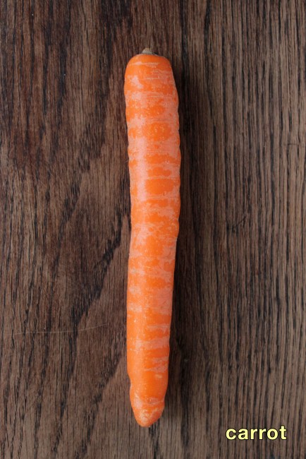 carrot